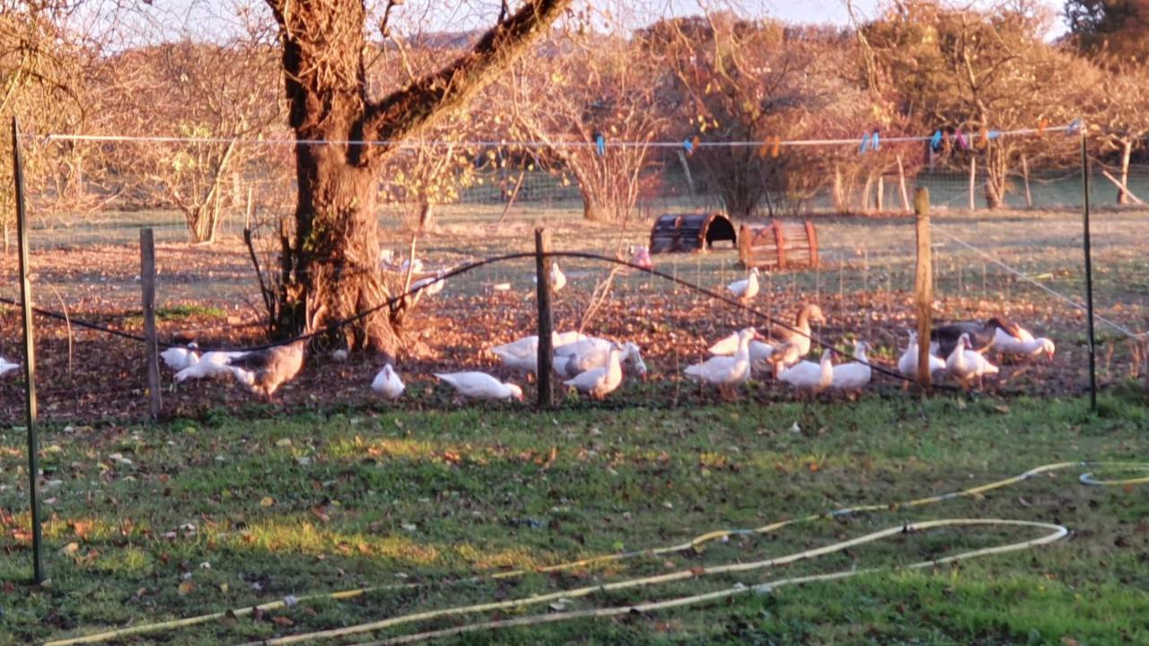 Grande Maison Avec Jardin, Animaux,Au Calme Yviers Exterior foto